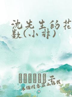 沈先生的花式调数(小非)