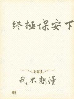 终极保安下载