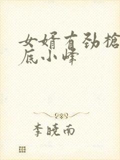 女婿有劲枪枪到底小峰