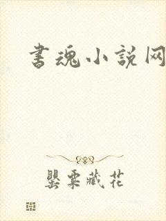 书魂小说网