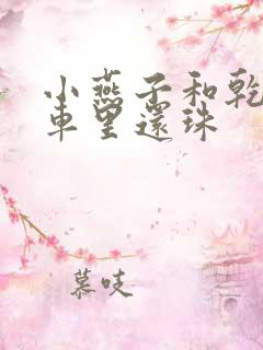 小燕子和乾隆在车里还珠