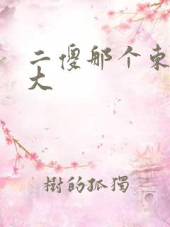 二傻那个东西真大