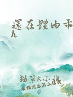 还在体内乖吃饭h