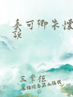 秦可卿朱怀镜小说