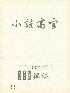 小说高官
