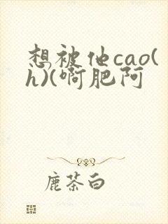 想被他cao(h)(啊肥阿