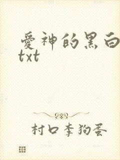 爱神的黑白羽翼txt