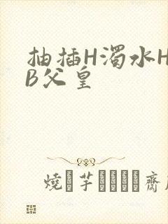 抽插H浊水H嫩B父皇