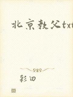 北京教父txt