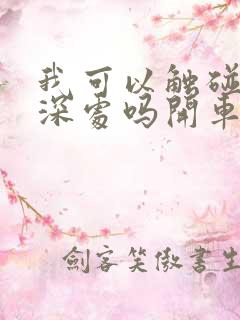 我可以触碰你的深处吗开车作文