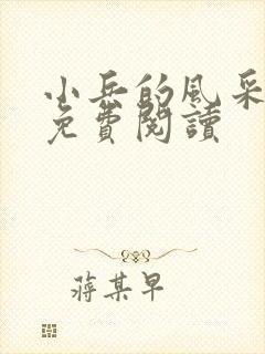 小兵的风采小说免费阅读