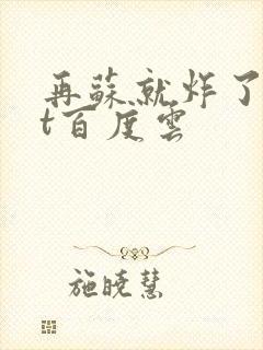 再苏就炸了txt百度云