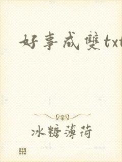 好事成双txt