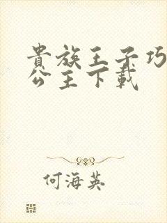 贵族王子巧遇穷公主下载