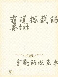 霸道总裁的挂名妻txt