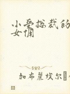 小受总裁的野蛮女佣