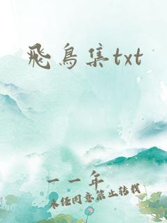 飞鸟集txt