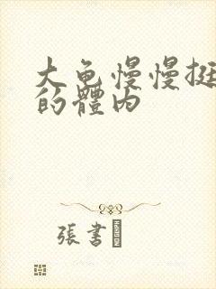 大龟慢慢挺进我的体内