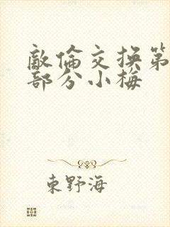 敌伦交换第11部分小梅