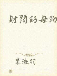 财阀的母狗们