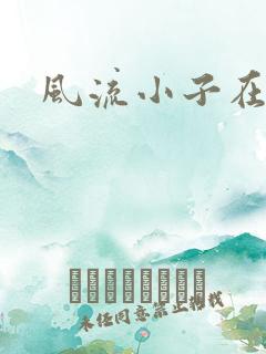 风流小子在异世