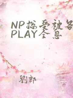 NP总受被各种PLAY全息