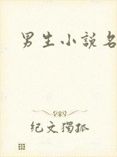 男生小说名字