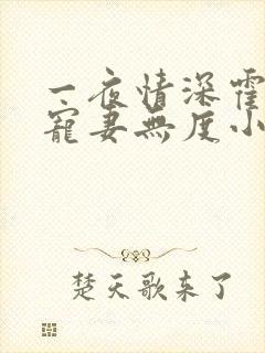 一夜情深霍先生宠妻无度小说免费阅读