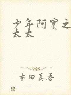 少年阿宾之房东太太