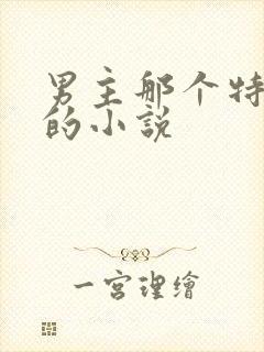 男主那个特别大的小说