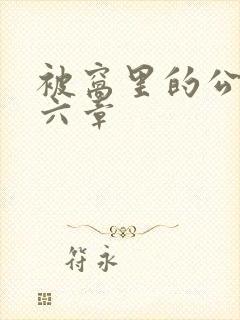 被窝里的公息第六章