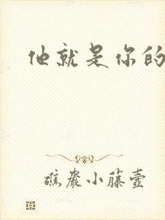 他就是你的新郎