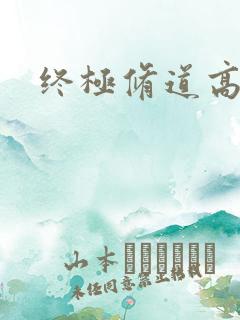 终极修道高手