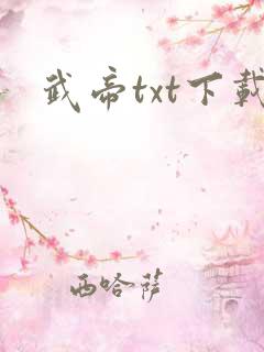 武帝txt下载