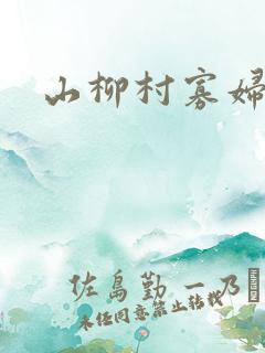 山柳村寡妇情史