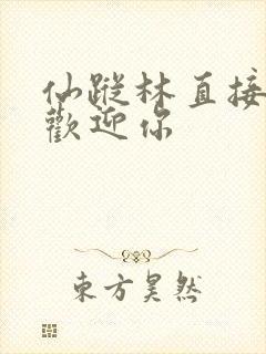 仙踪林直接入口欢迎你