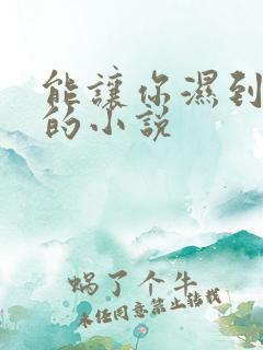 能让你湿到不行的小说