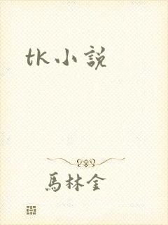 tk小说