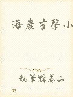 海岩有声小说