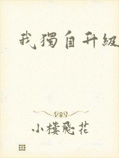 我独自升级小说