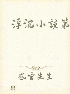 浮沉小说第二部