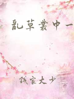 乱草丛中一杆枪