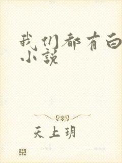 我们都有白月光小说