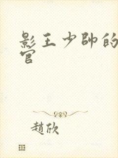 影王少帅的女长官