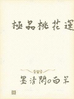 极品桃花运下载