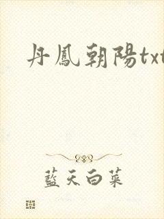 丹凤朝阳txt