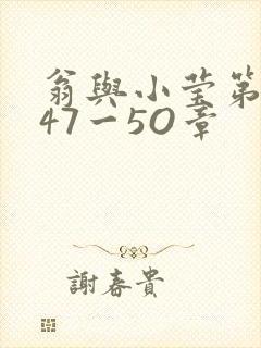 翁与小莹第十部47一5O章