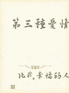 第三种爱情番外