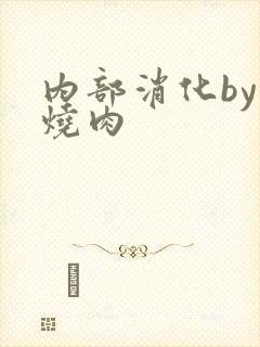 内部消化by红烧肉