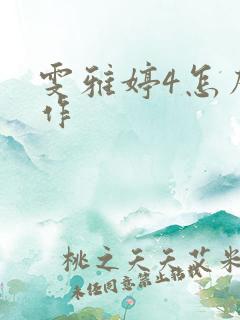 雯雅婷4怎么操作